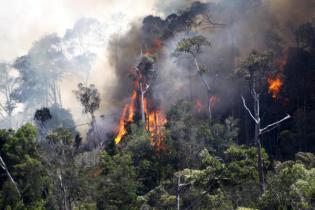 WebGIS Kementerian Lingkungan Hidup dan Kehutanan (KLHK)