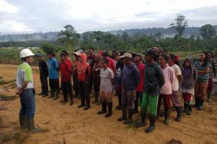 Dorong Serapan Minyak Kelapa Sawit, RSPO Dukung Konsep Shared Responsibility